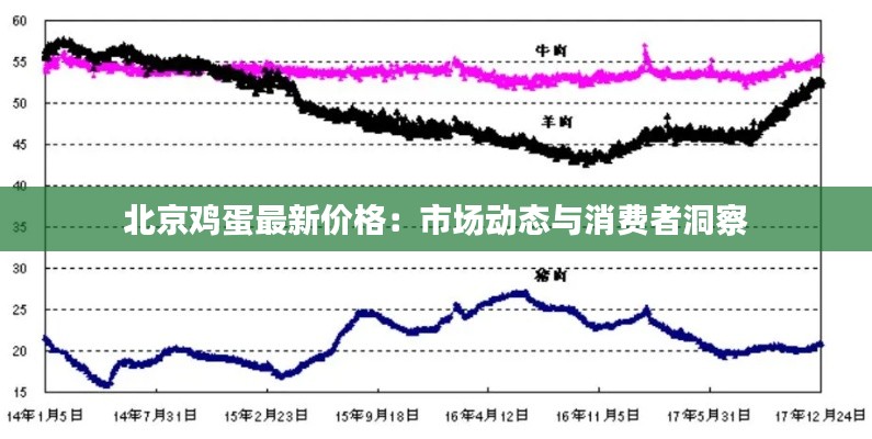 北京雞蛋最新價格：市場動態(tài)與消費者洞察