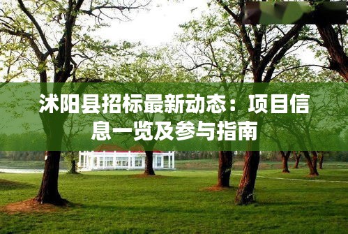 沭陽縣招標(biāo)最新動態(tài)：項目信息一覽及參與指南