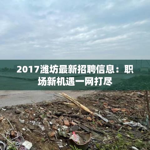 2017濰坊最新招聘信息：職場(chǎng)新機(jī)遇一網(wǎng)打盡