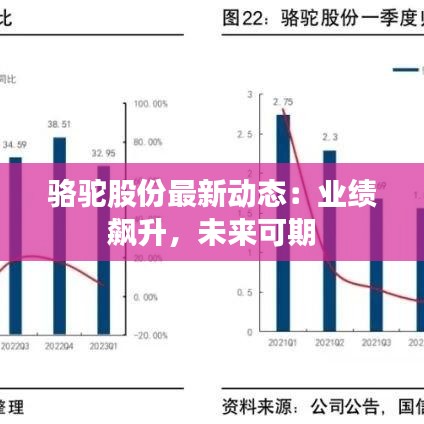 駱駝股份最新動態(tài)：業(yè)績飆升，未來可期