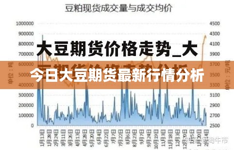 今日大豆期貨最新行情分析