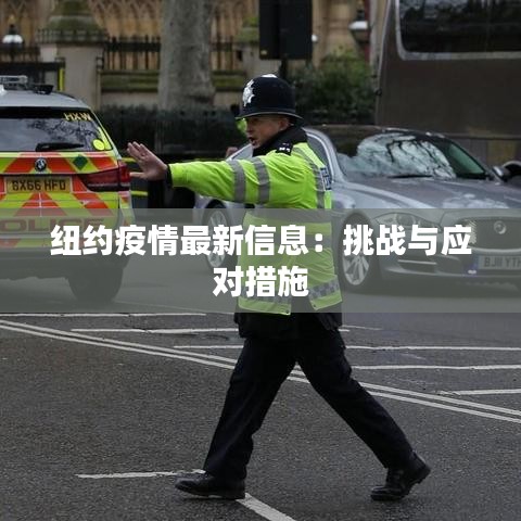 紐約疫情最新信息：挑戰(zhàn)與應(yīng)對措施