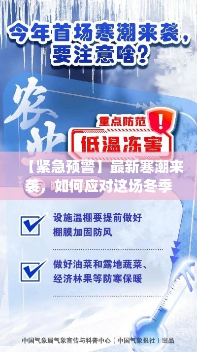 【緊急預(yù)警】最新寒潮來襲，如何應(yīng)對這場冬季挑戰(zhàn)？