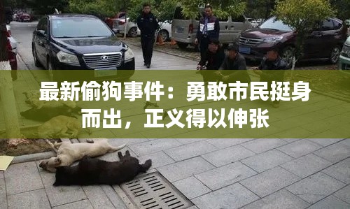 最新偷狗事件：勇敢市民挺身而出，正義得以伸張