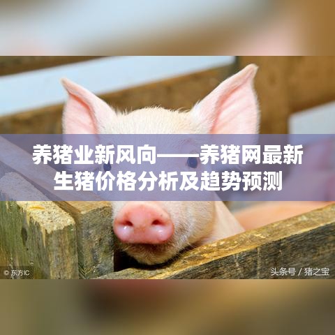 養(yǎng)豬業(yè)新風向——養(yǎng)豬網(wǎng)最新生豬價格分析及趨勢預測