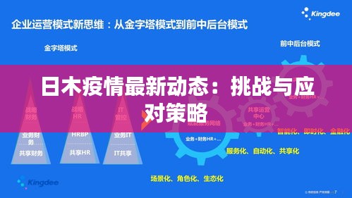 日木疫情最新動(dòng)態(tài)：挑戰(zhàn)與應(yīng)對(duì)策略