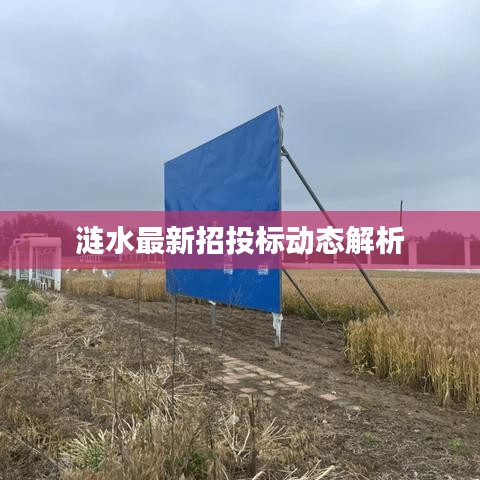 漣水最新招投標(biāo)動(dòng)態(tài)解析