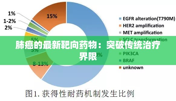 肺癌的最新靶向藥物：突破傳統(tǒng)治療界限