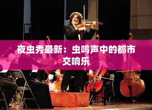 夜蟲秀最新：蟲鳴聲中的都市交響樂