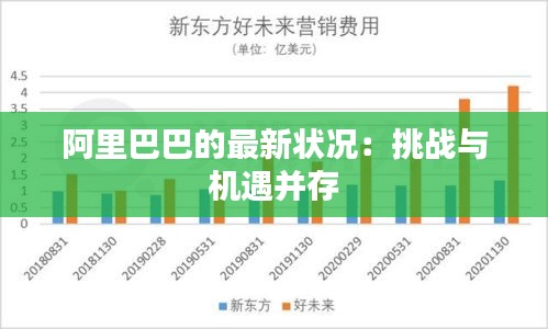 阿里巴巴的最新狀況：挑戰(zhàn)與機(jī)遇并存