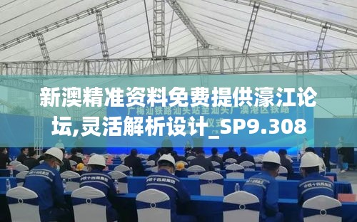 新澳精準資料免費提供濠江論壇,靈活解析設(shè)計_SP9.308