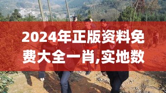 2024年正版資料免費(fèi)大全一肖,實(shí)地?cái)?shù)據(jù)驗(yàn)證執(zhí)行_桌面款6.356