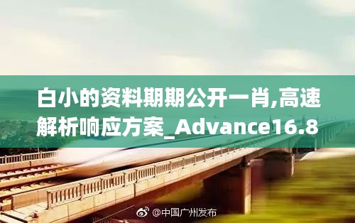 白小的資料期期公開一肖,高速解析響應方案_Advance16.839