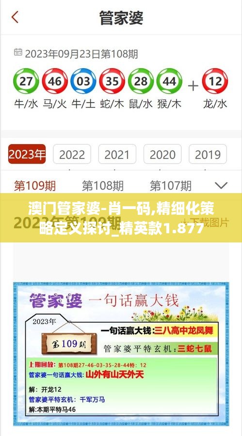 澳門管家婆-肖一碼,精細(xì)化策略定義探討_精英款1.877
