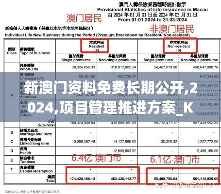 新澳門資料免費長期公開,2024,項目管理推進方案_KP10.388