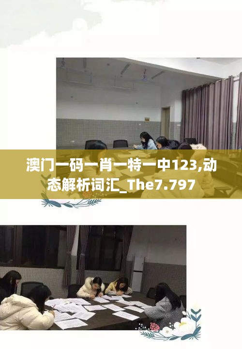 澳門一碼一肖一特一中123,動(dòng)態(tài)解析詞匯_The7.797