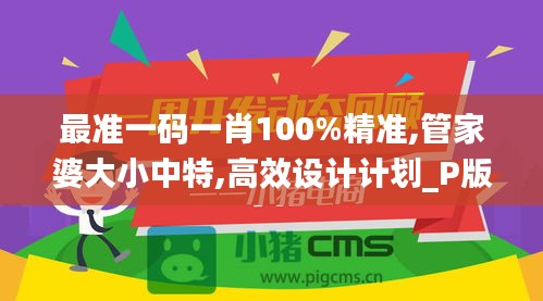 最準(zhǔn)一碼一肖100%精準(zhǔn),管家婆大小中特,高效設(shè)計(jì)計(jì)劃_P版8.903