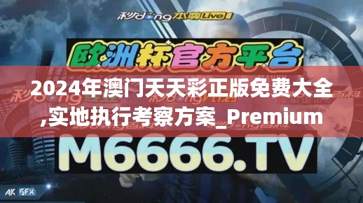 2024年澳門天天彩正版免費大全,實地執(zhí)行考察方案_Premium4.139