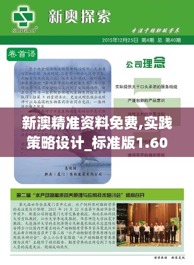 新澳精準(zhǔn)資料免費(fèi),實(shí)踐策略設(shè)計(jì)_標(biāo)準(zhǔn)版1.607