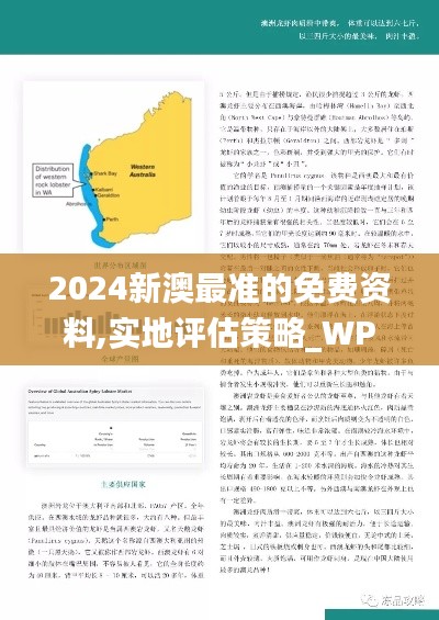 2024新澳最準(zhǔn)的免費(fèi)資料,實(shí)地評(píng)估策略_WP版1.345