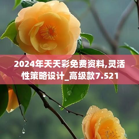 2024年天天彩免費資料,靈活性策略設(shè)計_高級款7.521