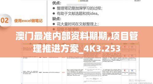 澳門最準(zhǔn)內(nèi)部資料期期,項(xiàng)目管理推進(jìn)方案_4K3.253
