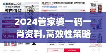 2O24管家婆一碼一肖資料,高效性策略設(shè)計(jì)_Tizen19.235