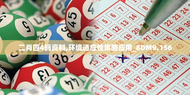 二肖四4碼資料,環(huán)境適應性策略應用_8DM9.156