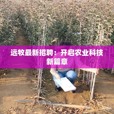 就樓磨刀 第3頁