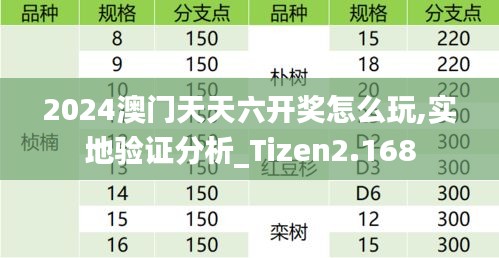 2024澳門天天六開獎(jiǎng)怎么玩,實(shí)地驗(yàn)證分析_Tizen2.168