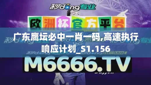 廣東鷹壇必中一肖一碼,高速執(zhí)行響應計劃_S1.156
