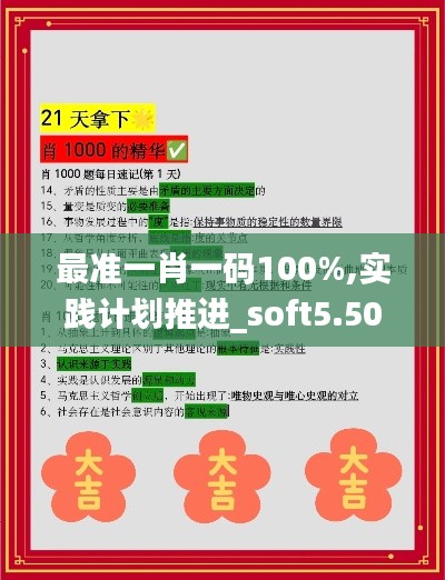 最準(zhǔn)一肖一碼100%,實(shí)踐計(jì)劃推進(jìn)_soft5.505