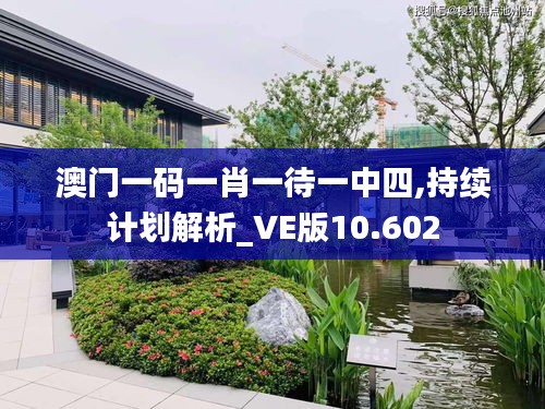 澳門一碼一肖一待一中四,持續(xù)計(jì)劃解析_VE版10.602