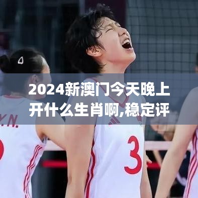 2024新澳門今天晚上開什么生肖啊,穩(wěn)定評(píng)估計(jì)劃方案_黃金版16.202