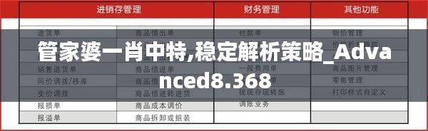 管家婆一肖中特,穩(wěn)定解析策略_Advanced8.368