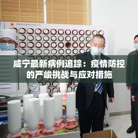 咸寧最新病例追蹤：疫情防控的嚴(yán)峻挑戰(zhàn)與應(yīng)對措施