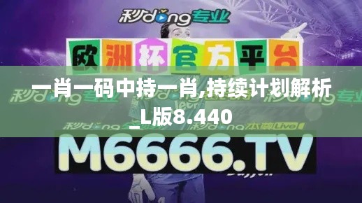 一肖一碼中持一肖,持續(xù)計(jì)劃解析_L版8.440