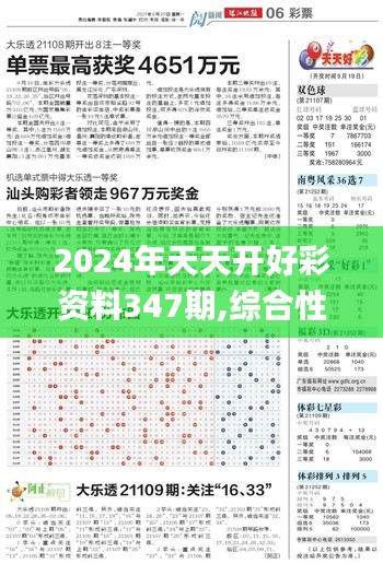 2024年天天開好彩資料347期,綜合性計劃評估_XE版10.843