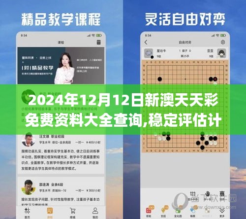 2024年12月12日新澳天天彩免費資料大全查詢,穩(wěn)定評估計劃方案_CT2.292