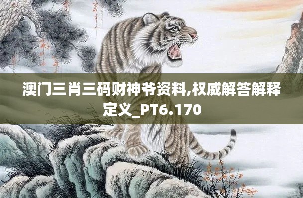 澳門三肖三碼財(cái)神爺資料,權(quán)威解答解釋定義_PT6.170