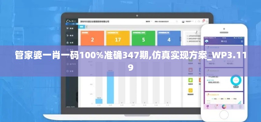 管家婆一肖一碼100%準(zhǔn)確347期,仿真實現(xiàn)方案_WP3.119