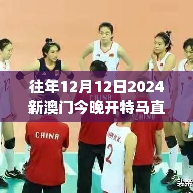 往年12月12日2024新澳門(mén)今晚開(kāi)特馬直播,高效計(jì)劃設(shè)計(jì)_MR6.444