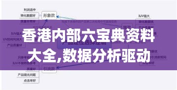 香港內(nèi)部六寶典資料大全,數(shù)據(jù)分析驅(qū)動(dòng)解析_Executive2.169