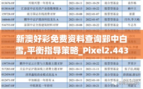 新澳好彩免費(fèi)資料查詢郢中白雪,平衡指導(dǎo)策略_Pixel2.443