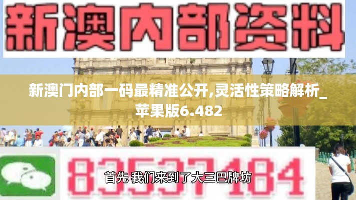 新澳門內(nèi)部一碼最精準(zhǔn)公開(kāi),靈活性策略解析_蘋果版6.482