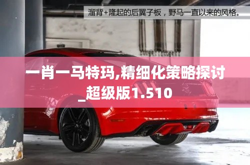 一肖一馬特瑪,精細(xì)化策略探討_超級(jí)版1.510