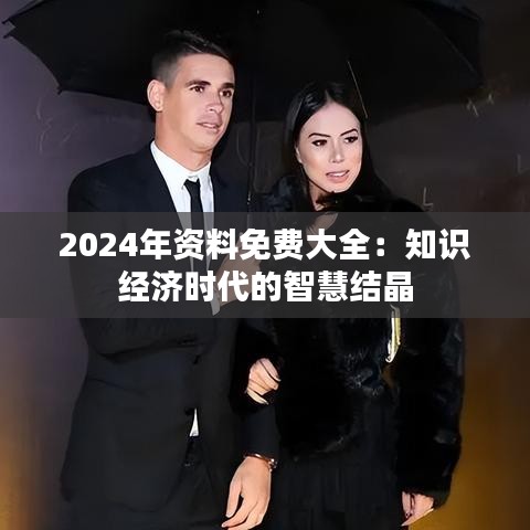 2024年資料免費大全：知識經(jīng)濟時代的智慧結(jié)晶