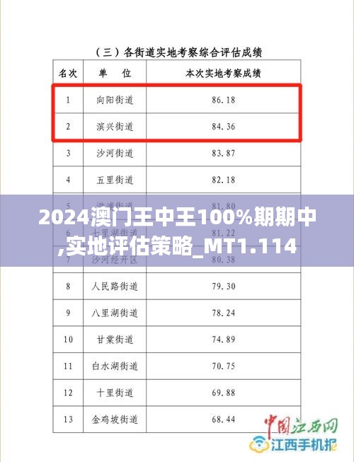 2024澳門王中王100%期期中,實地評估策略_MT1.114