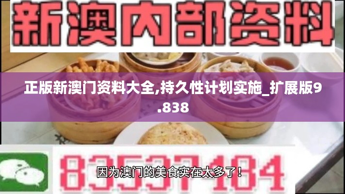 正版新澳門資料大全,持久性計劃實施_擴展版9.838