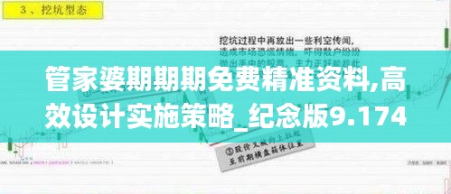 管家婆期期期免費精準資料,高效設(shè)計實施策略_紀念版9.174
